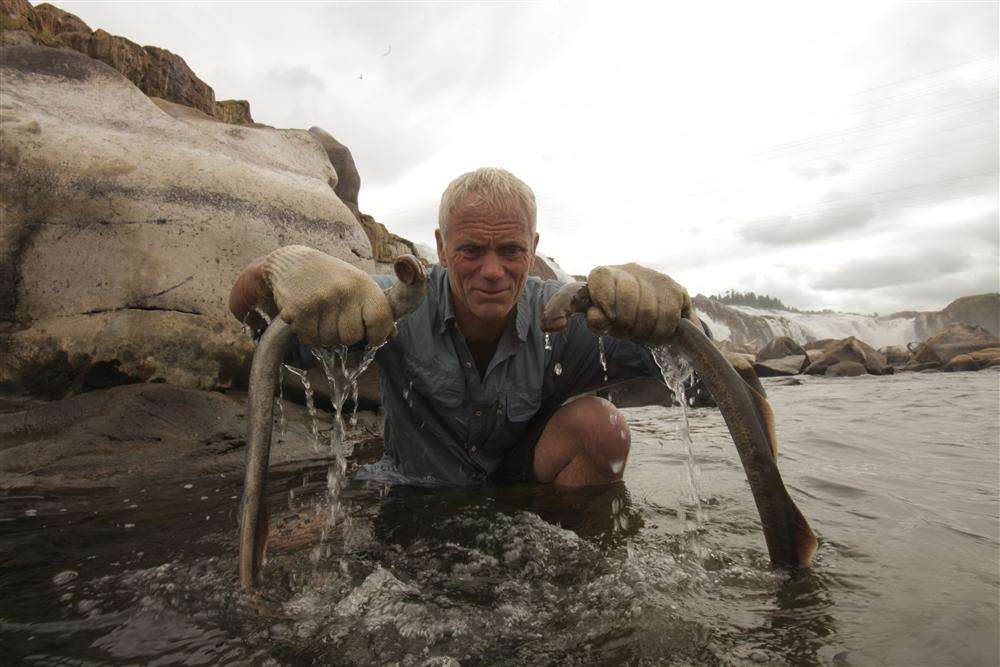 Jeremy Wade with giant lampreys, caught by hand in a North American lake