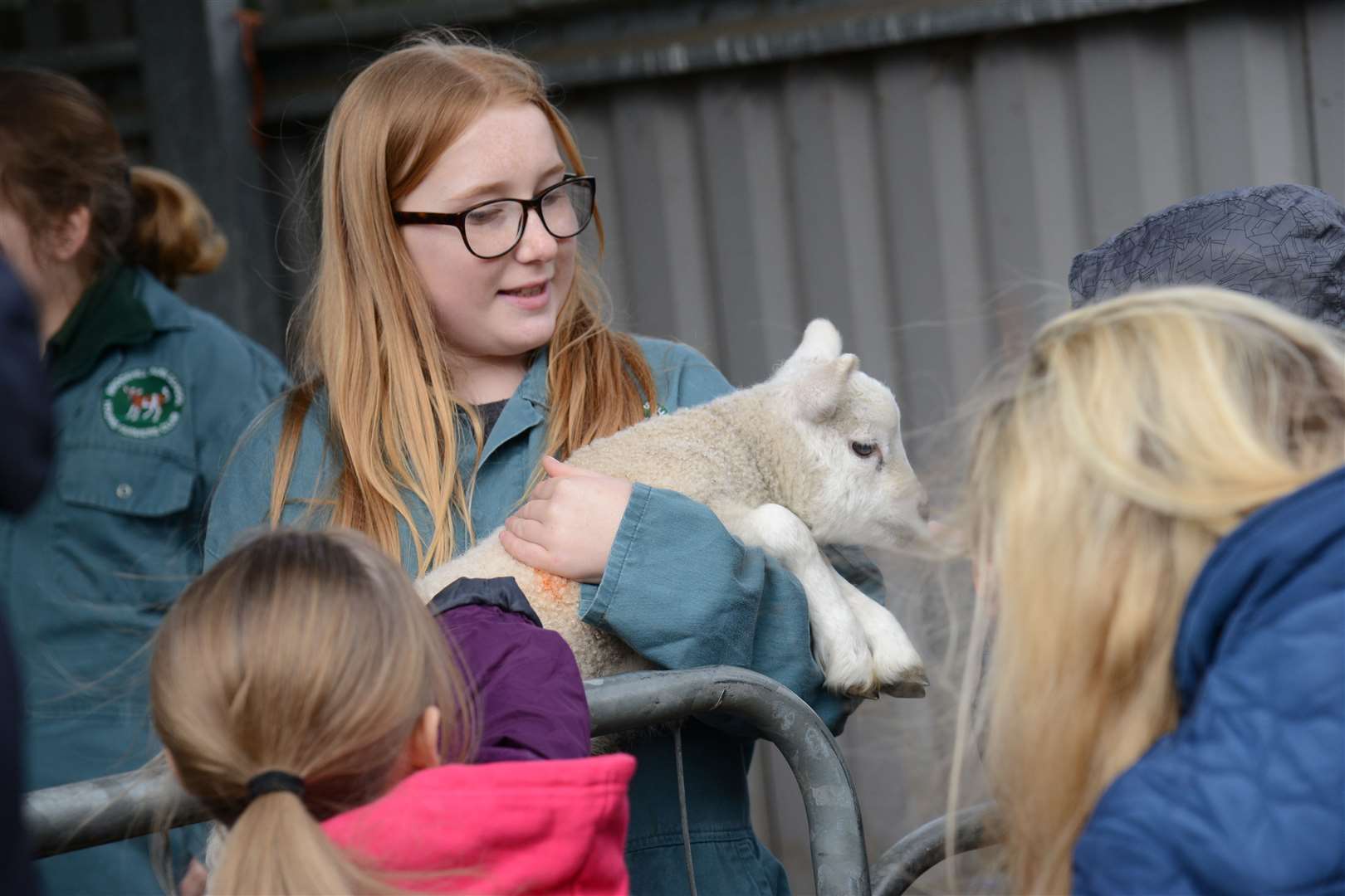 Young Farmers Club lambing day at the farm at Brockhill Park Performing Arts College Picture: Gary Browne