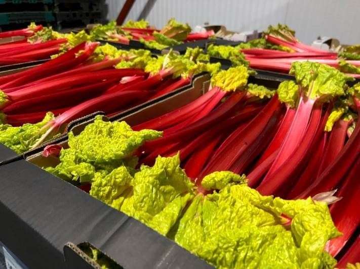 Aldi has agreed a deal for rhubarb from a Kent supplier
