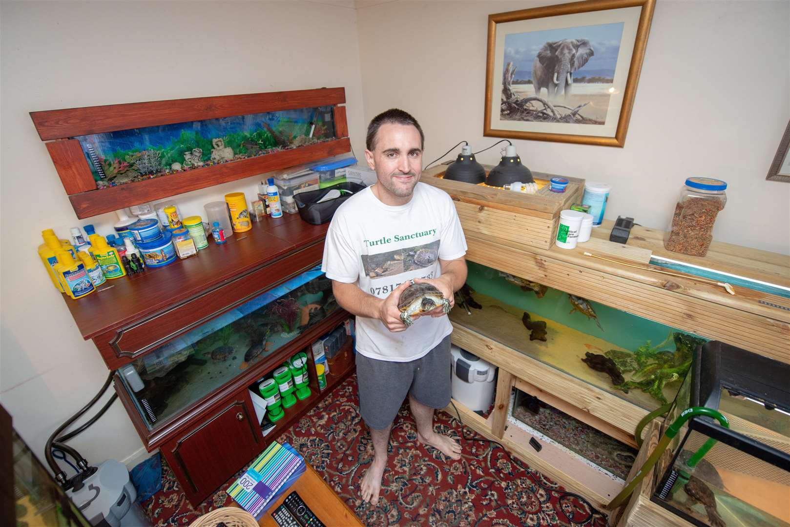 Michael has fulfilled his childhood dream by filling his home with more than a thousand turtles.