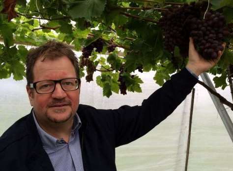 Alberto Goldbacher celebrates the first British seedless grape being produced in East Malling. Picture: Asda