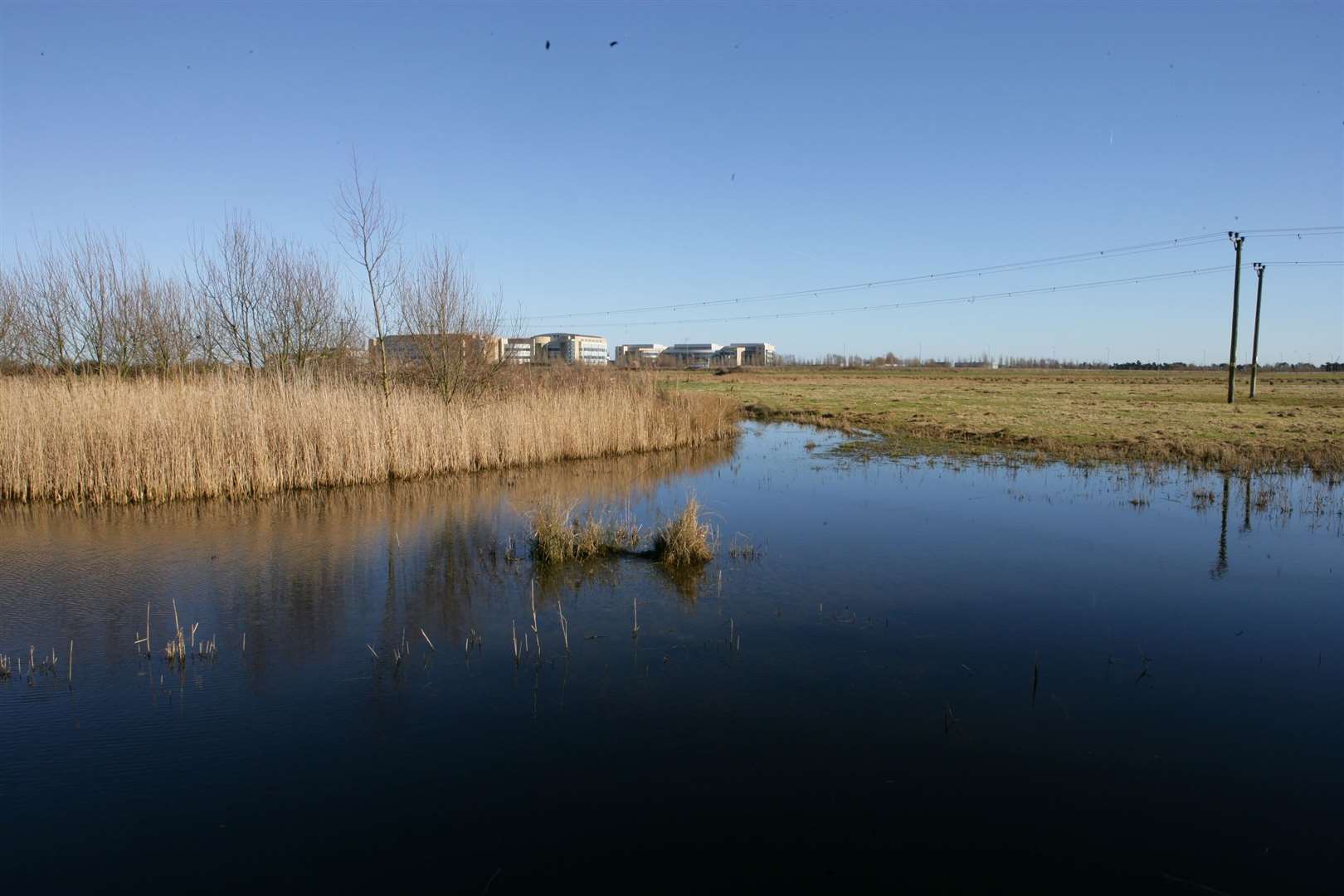 Monks Wall Nature Reserve pictured in 2011, two years before it closed. Picture: Martin Apps