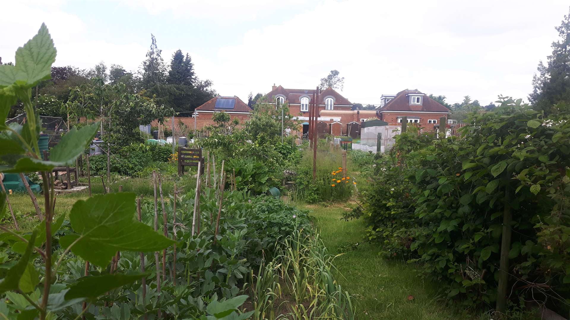 The Church Landway allotments are to stay where they are