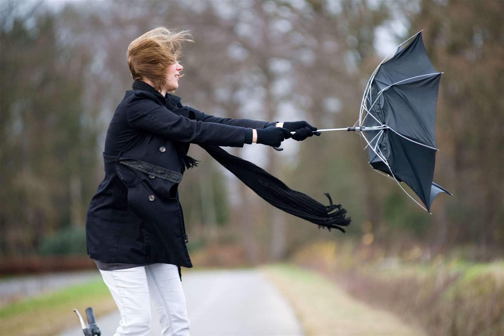 Winds between 40mph and 60mph are expected tomorrow. Picture: Stock