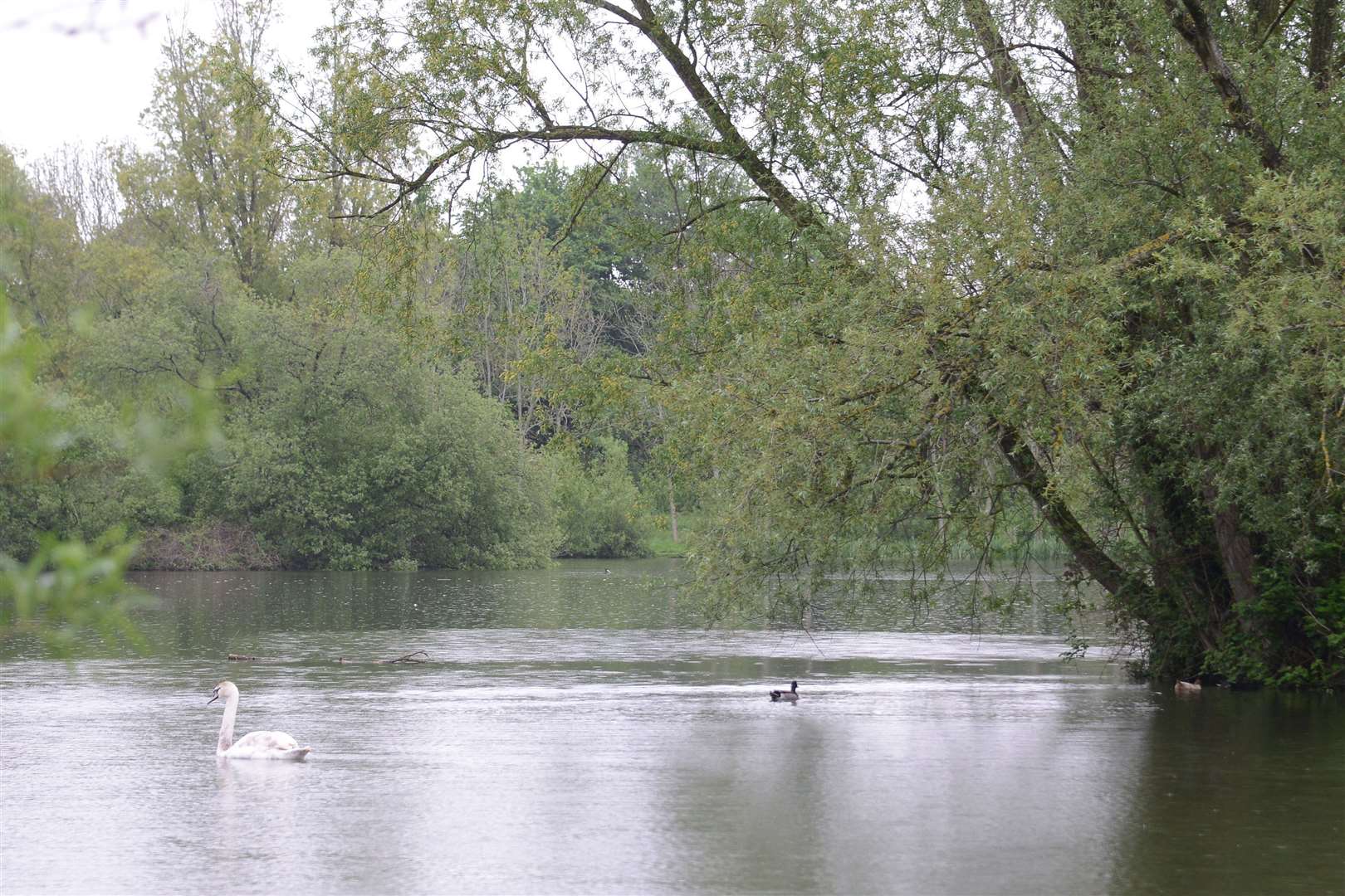 Singleton Lake is one of the areas covered by a Public Space Protection Order