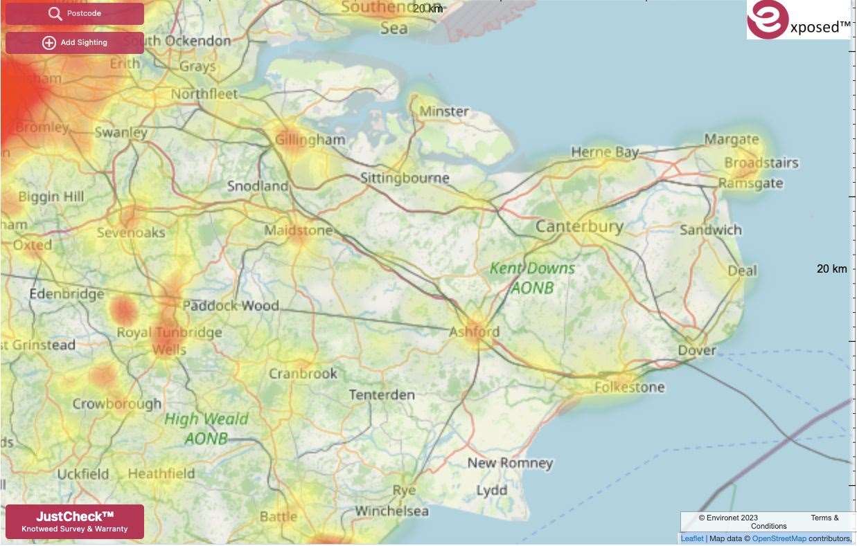 Japanese knotweed hotspots in Kent. Map by Environet