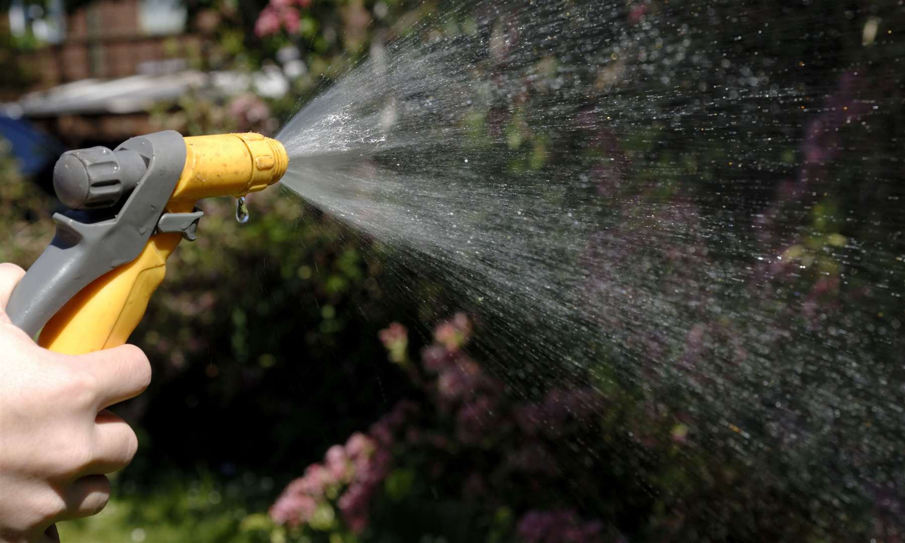 The heatwave comes as a hosepipe ban was announced for parts of the county this week. Stock image