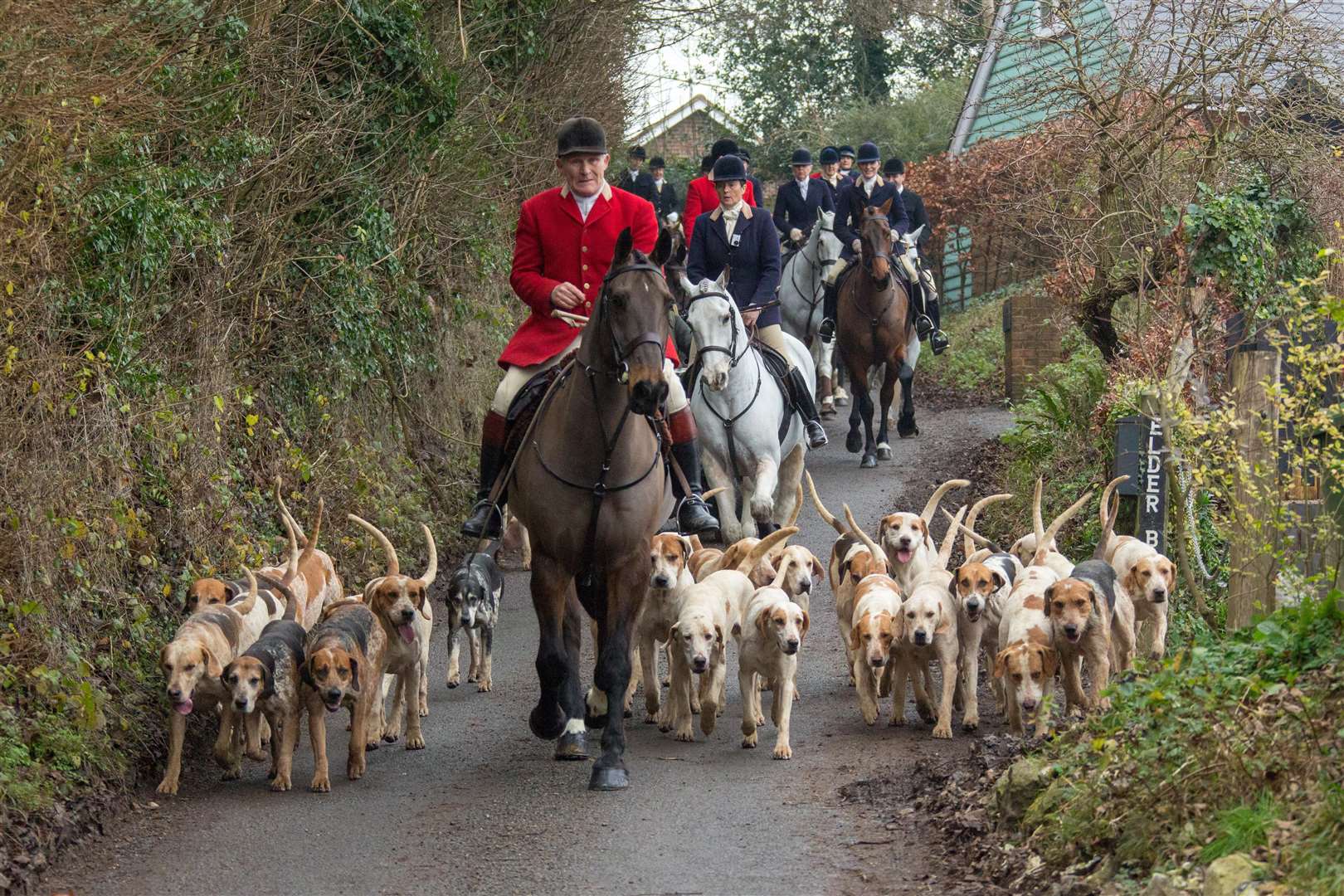 The East Kent with West Street Hunt. Picture: Nick Onslow.