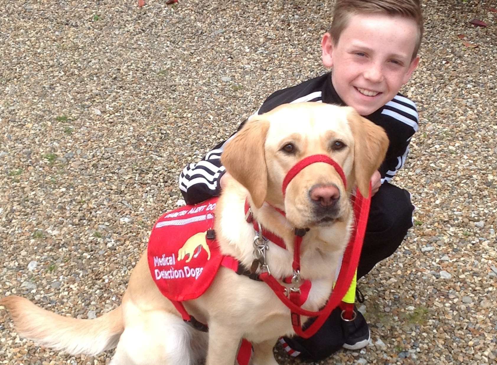 Diabetic Jack Hales, 11 and his detection dog, Dottie