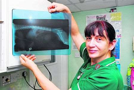 Head nurse Julie Westwood with Kitts's X-ray