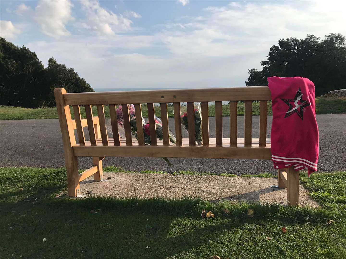 Roz Wilson's new bench overlooking the Leas (4753582)