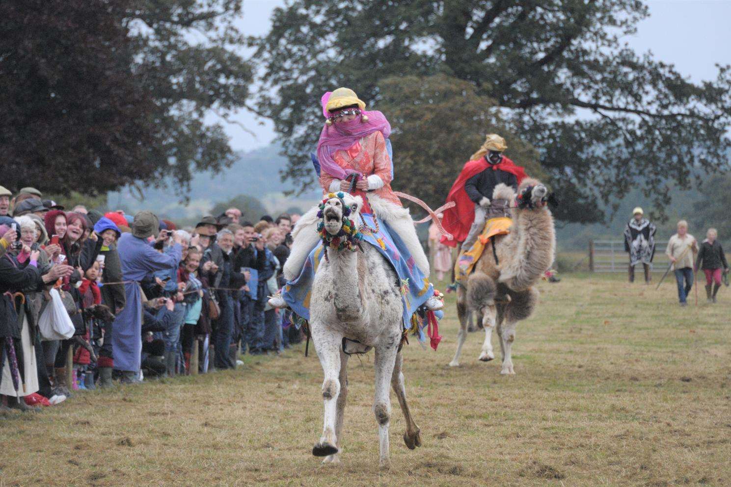 One of the camel races at Hole Park, Rolvenden