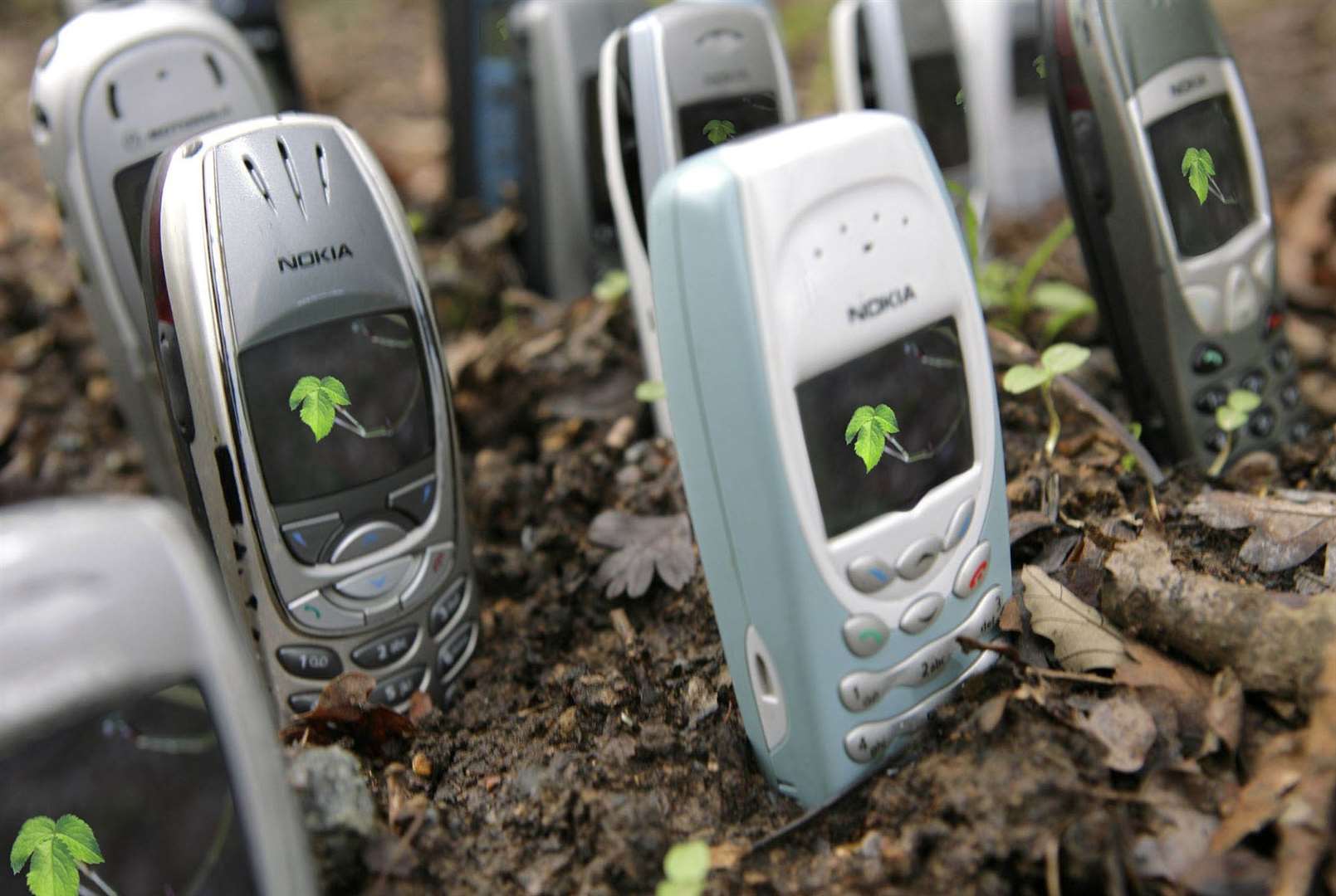 Old mobile phones which once seemed so cutting edge… Picture: Woodland Trust