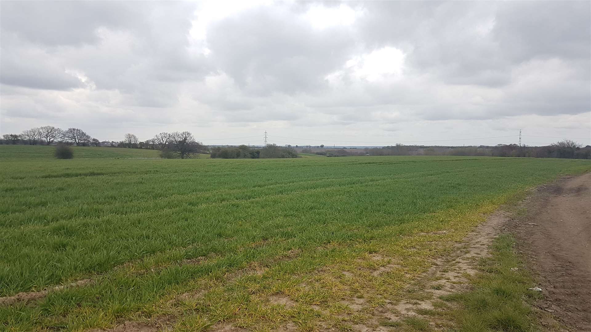 The site off Marley Lane is currently farmland