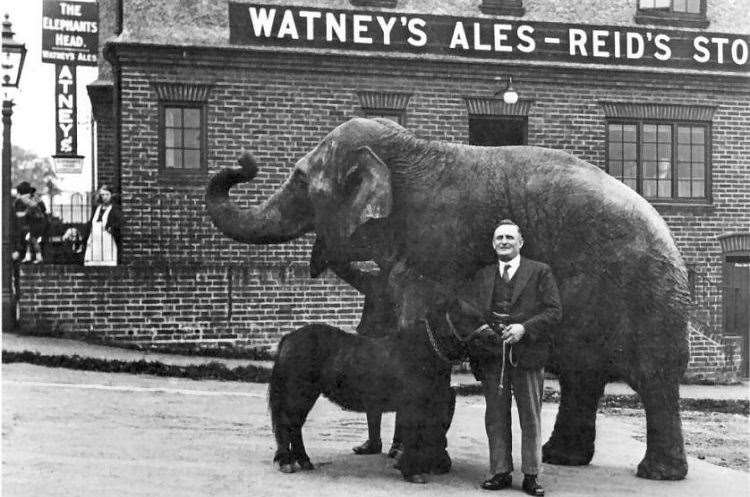 Lizzie the elephant, outside the aptly named Sevenoaks pub. Picture: dover-kent.com