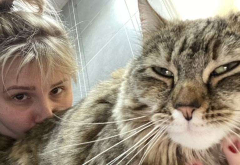 Couple from Biggin Hill have wedding day thrown into turmoil as their cat goes missing at Longton Wood venue near Maidstone