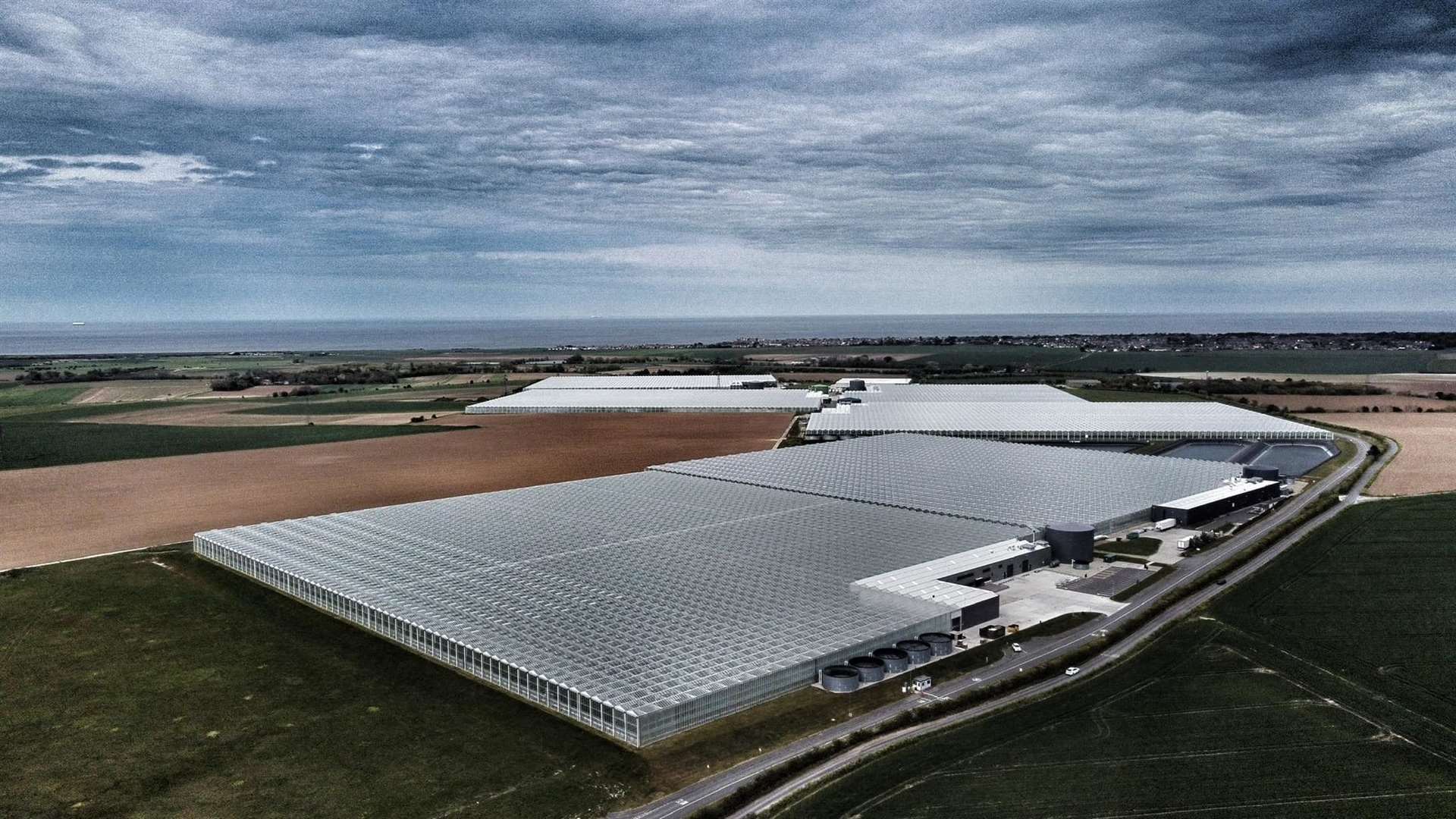 Thanet Earth is the UK's biggest greenhouse complex. Picture: Steven Rees