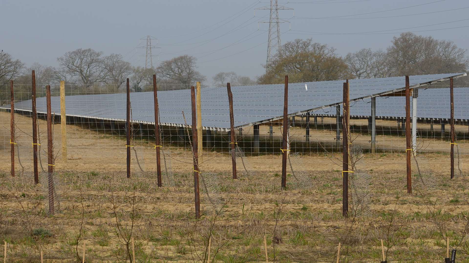 Paddock Wood solar farm produces enough electricity to power 2,800 homes
