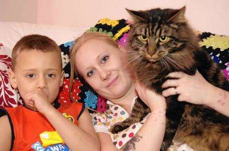 Amy McNeill with her son Jake, 5, and her cat Tinkerbell. Tinkerbel went missing 18 months ago, and ended up in Warwickshire.