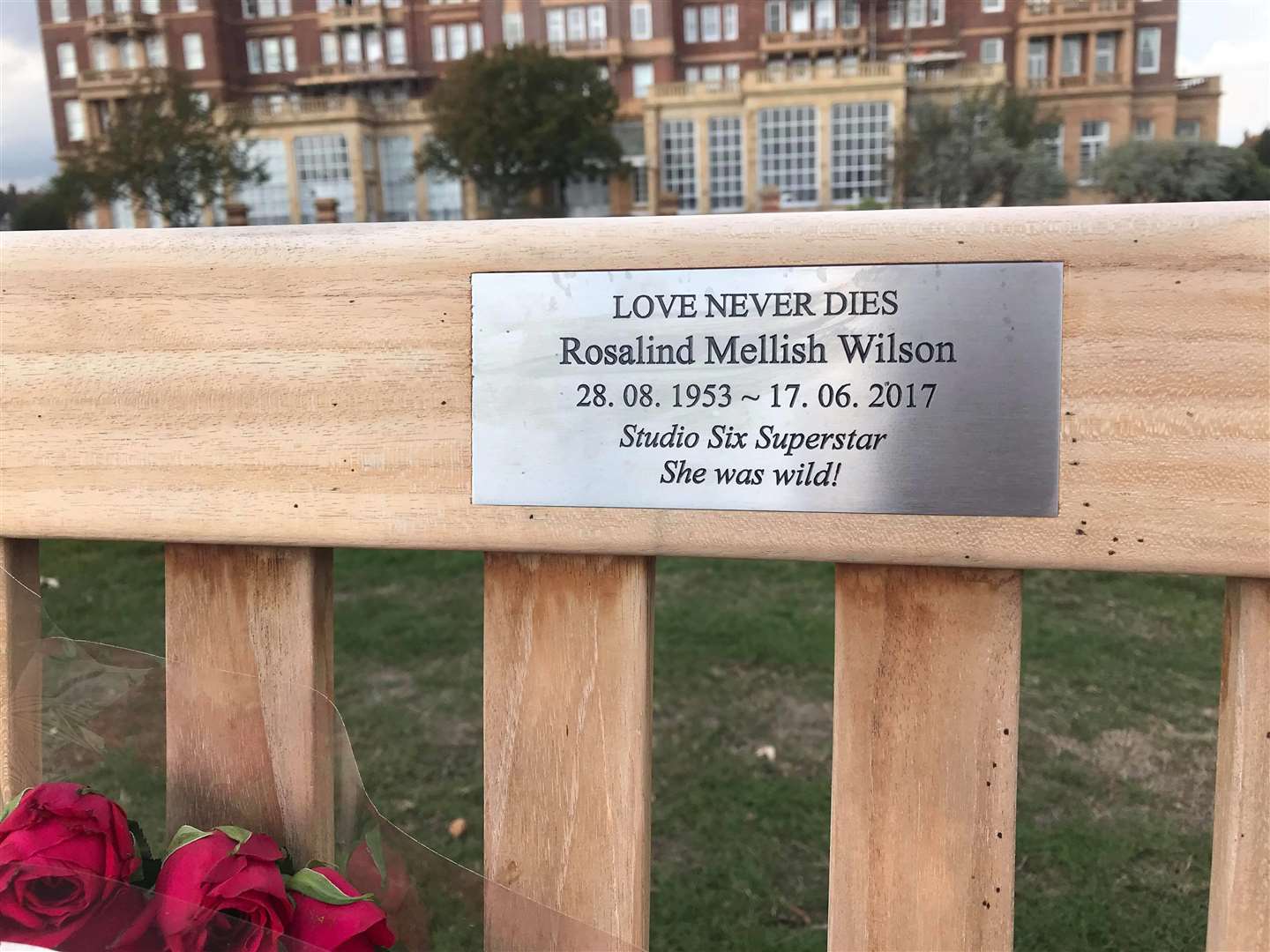 Roz Wilson's new bench overlooking the Leas (4753584)
