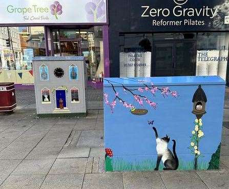 Both of the finished pieces on display in Calverley Road, Tunbridge Wells. Picture: Louise Dean