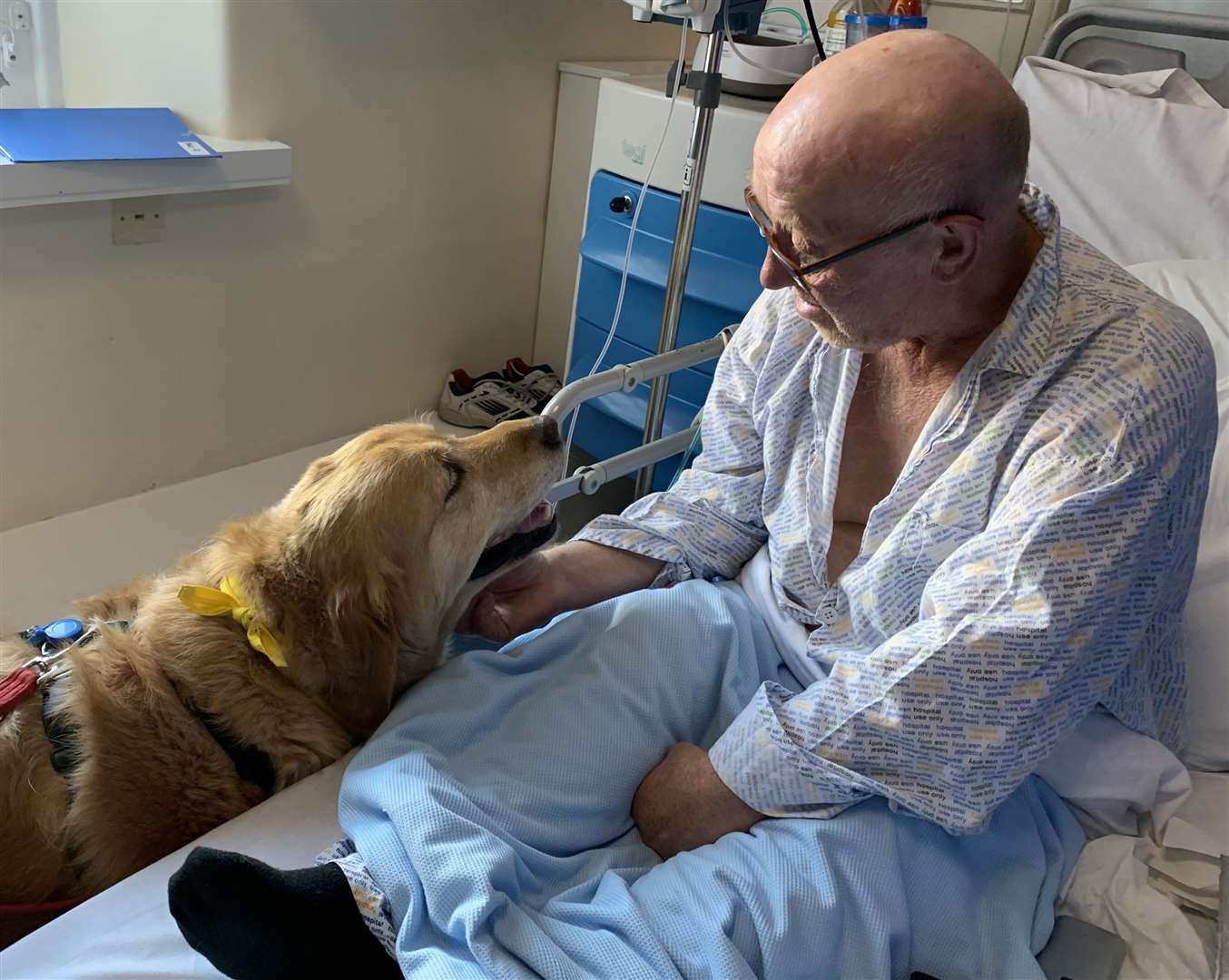 Therapy dog Yazzy with a patient