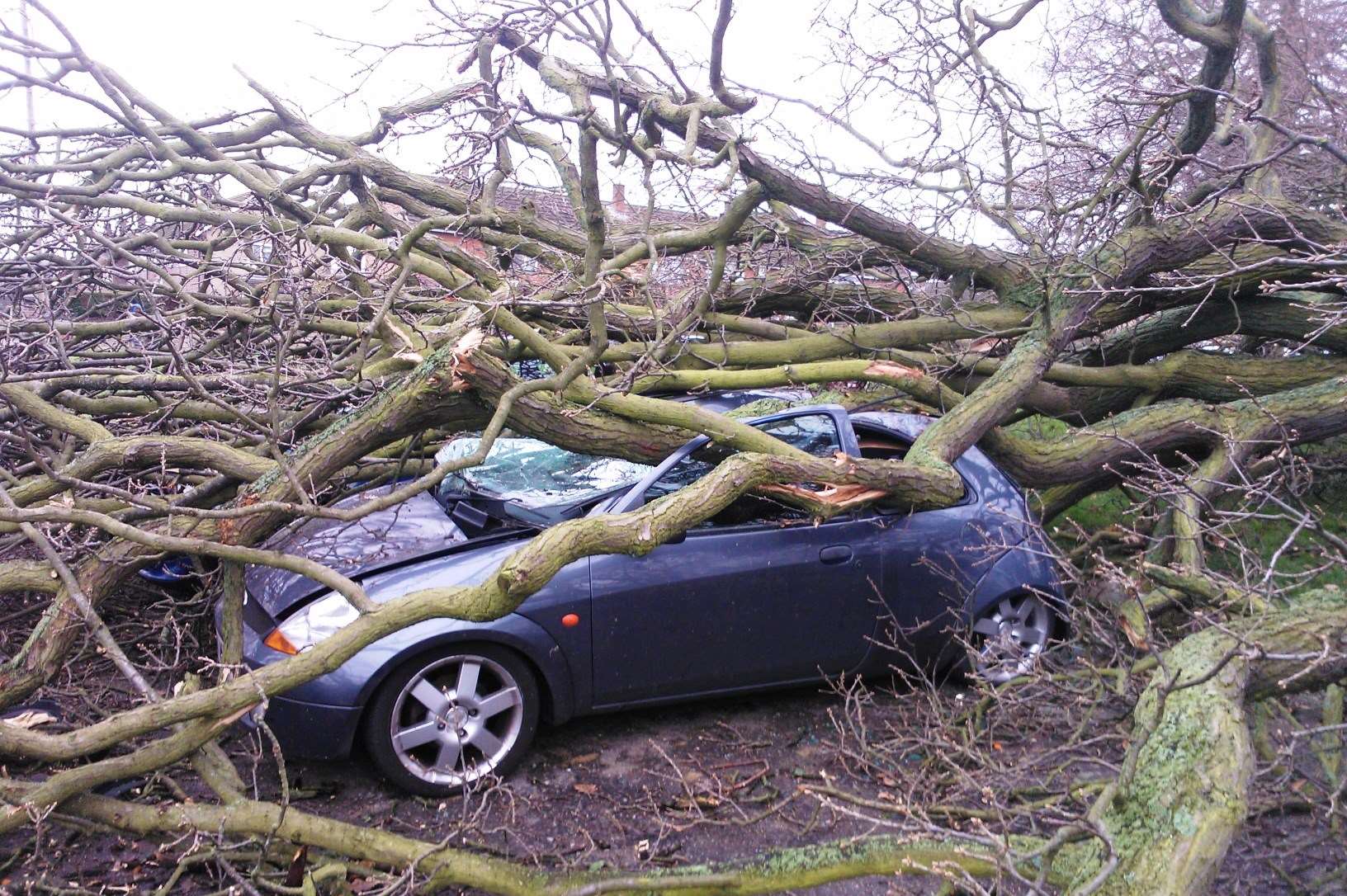 A car is damaged by a tree in East Malling. Picture: Doug Cable