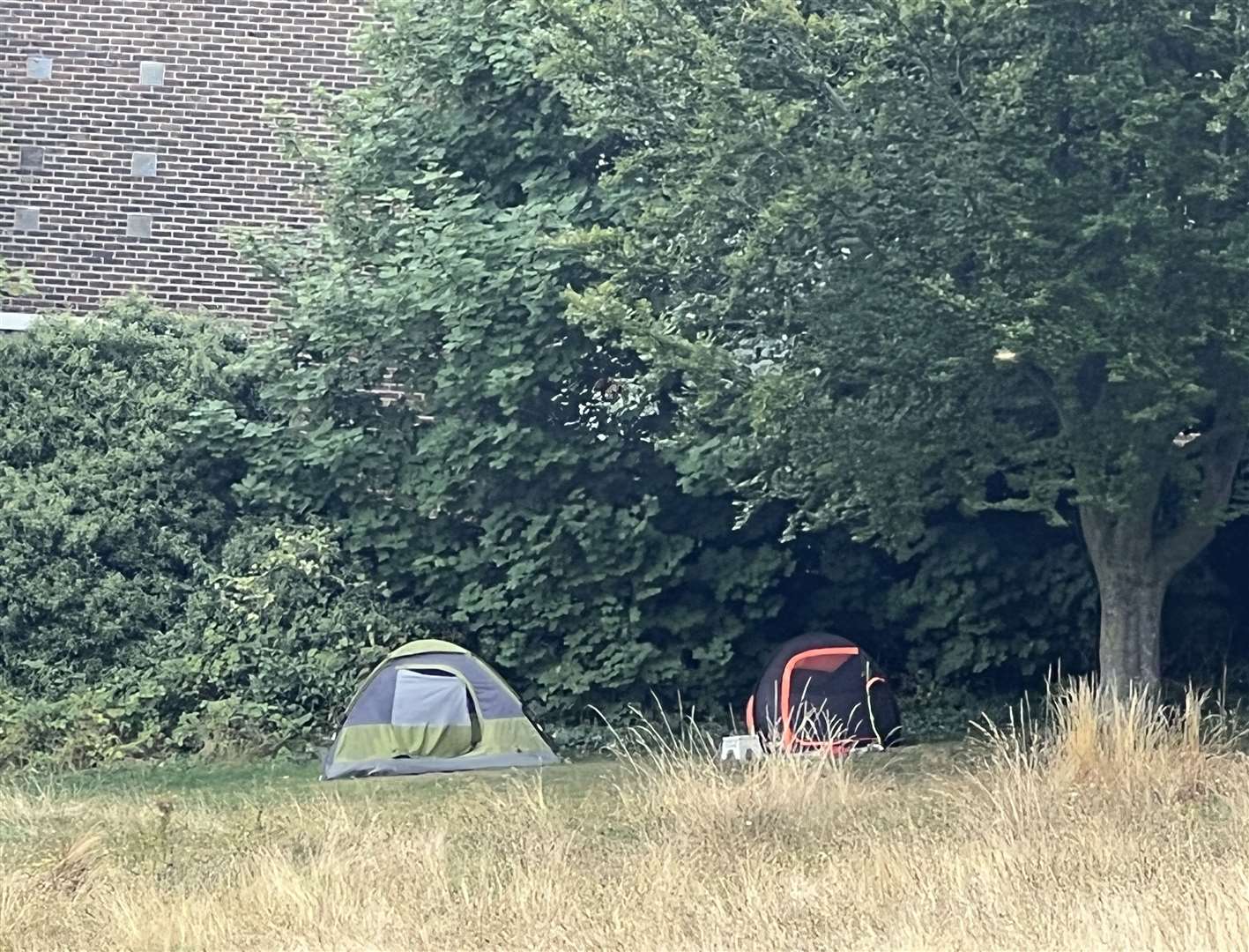 Resident's opposite a Rochester field want the tents removed. Picture: Megan Carr