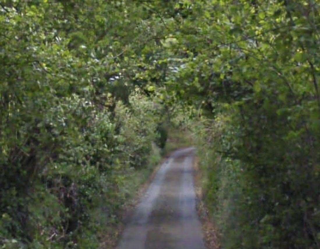 New Forest Lane, where the waste was dumped. Picture: Google