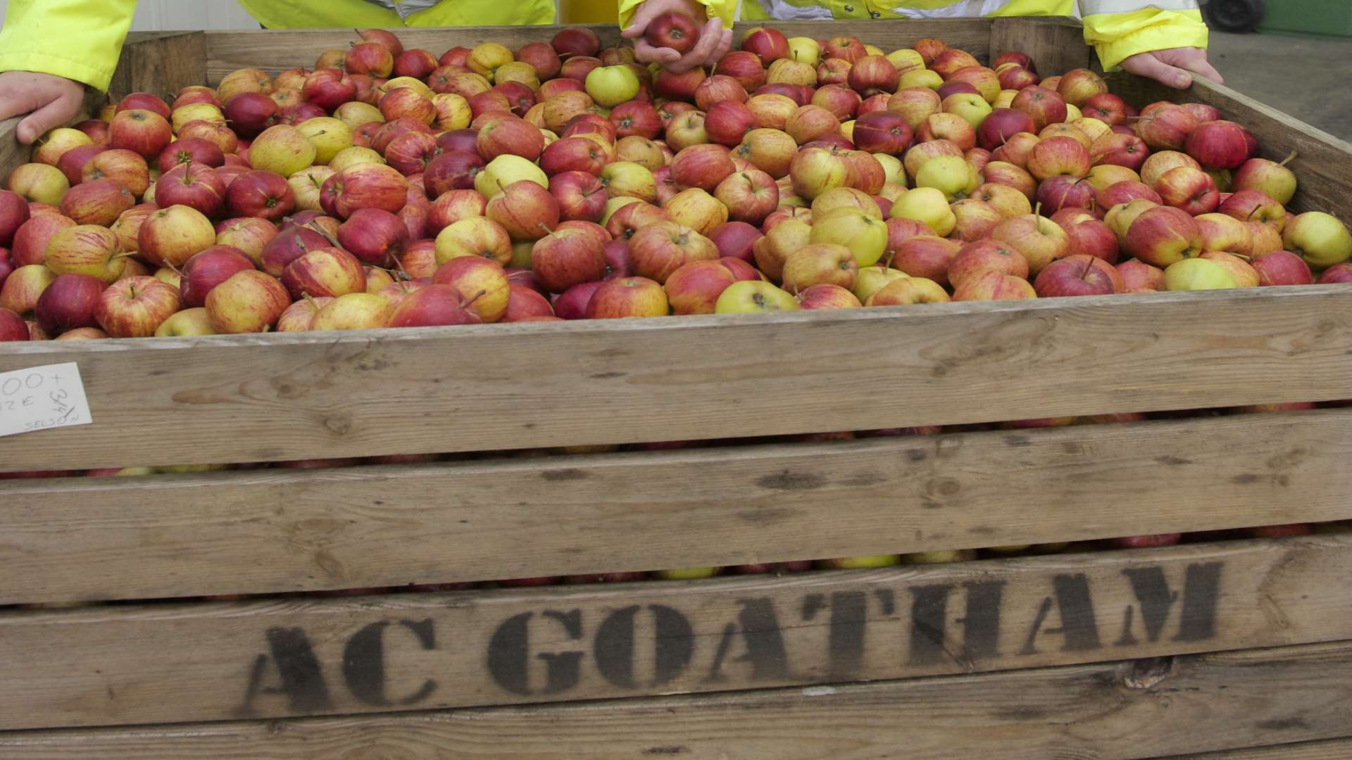 AC Goatham produces more than one in five of the apples eaten in the UK