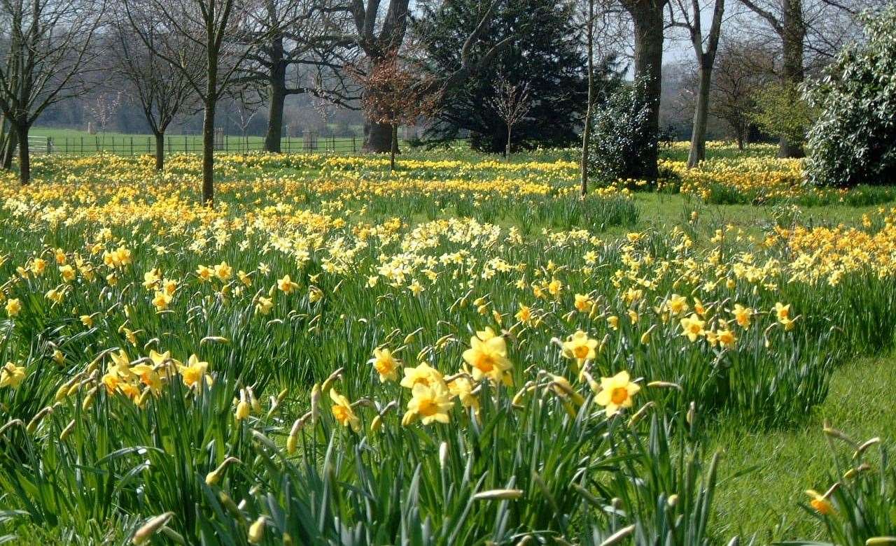 Godinton House will open for visitors towards the end of the Easter break. Picture: NGS