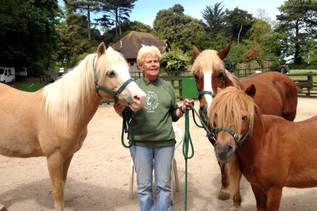 Nora Setterfield with her horses and ponies