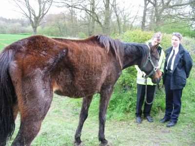 PC Annie Williams and RSPCA inspector Kelli Ellison with the horse found abandoned in Bethersden