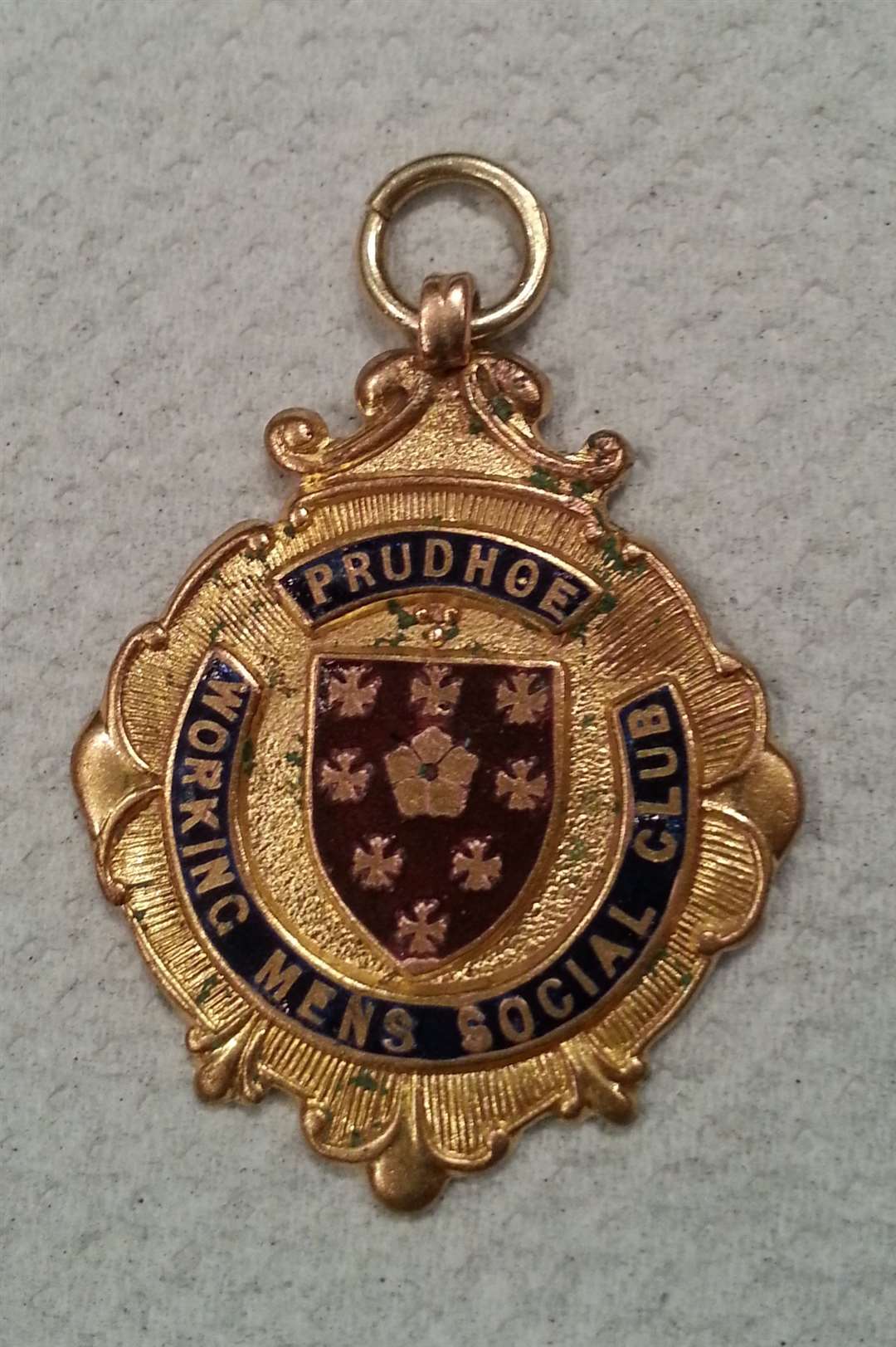 Royal Phoenix Detecting Group discovered this First World War medal