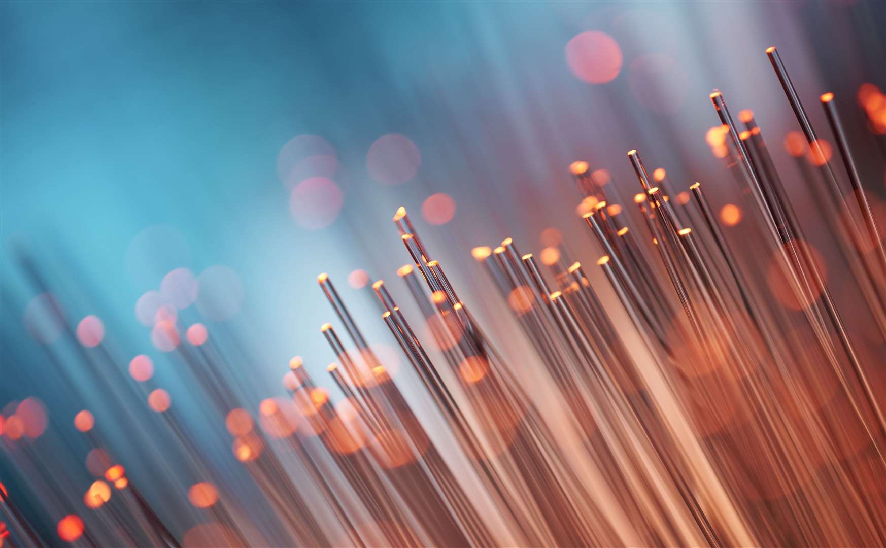 Fibre optic cables. Stock image