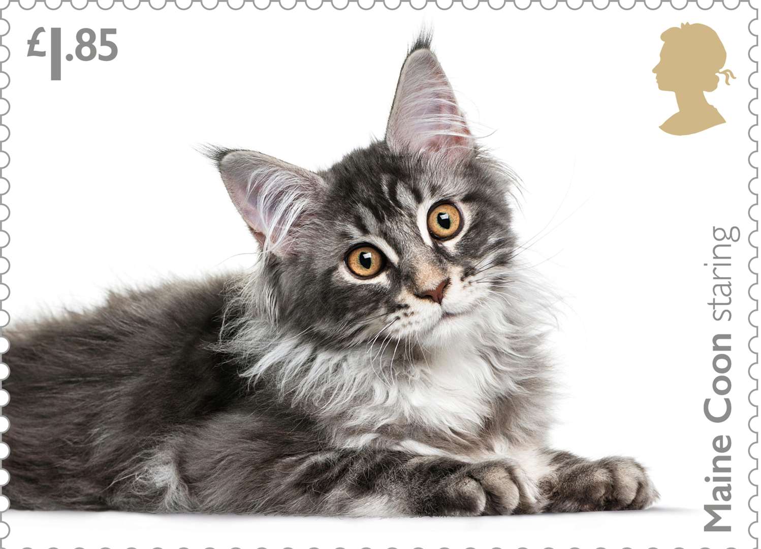 A Maine Coon is among the chosen cats. Picture: Royal Mail.