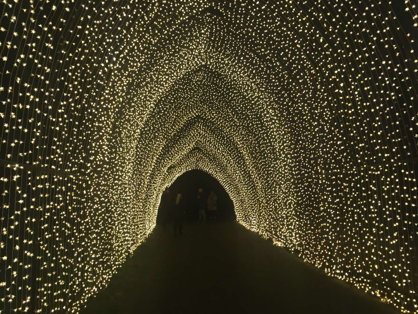Some 100,000 bulbs illuminate the Tunnel of Light