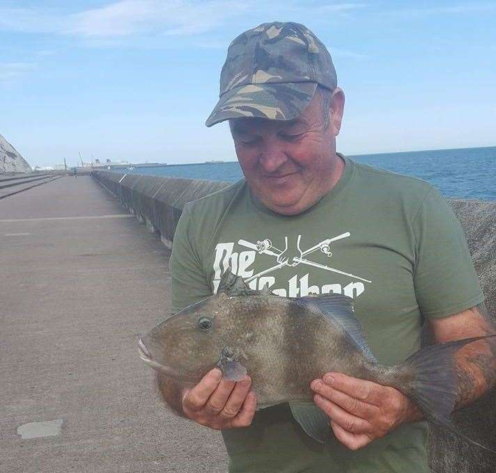 This triggerfish was landed by the lucky angler ay Samphire Hoe (38840277)