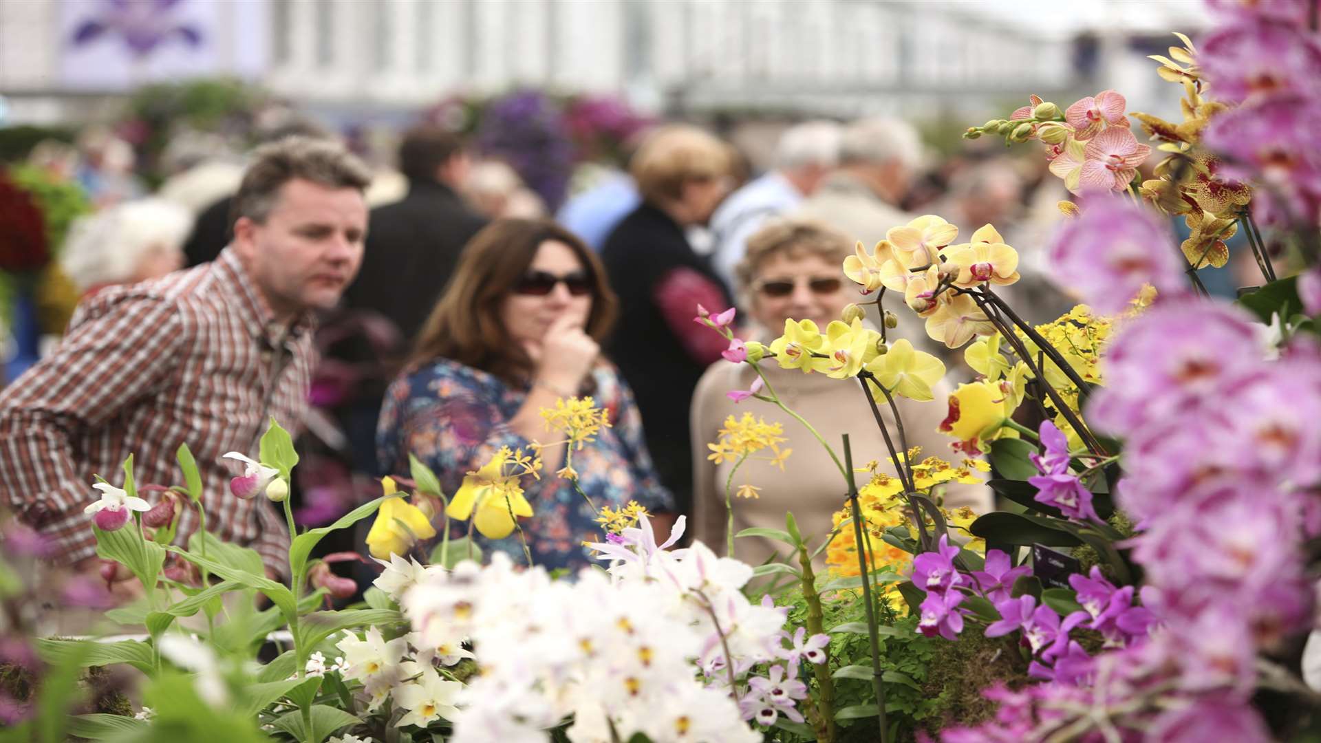 The RHS Chelsea Flower Show attracts thousands of visitors every year