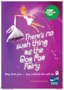 Dog poo fairy poster from Thanet council