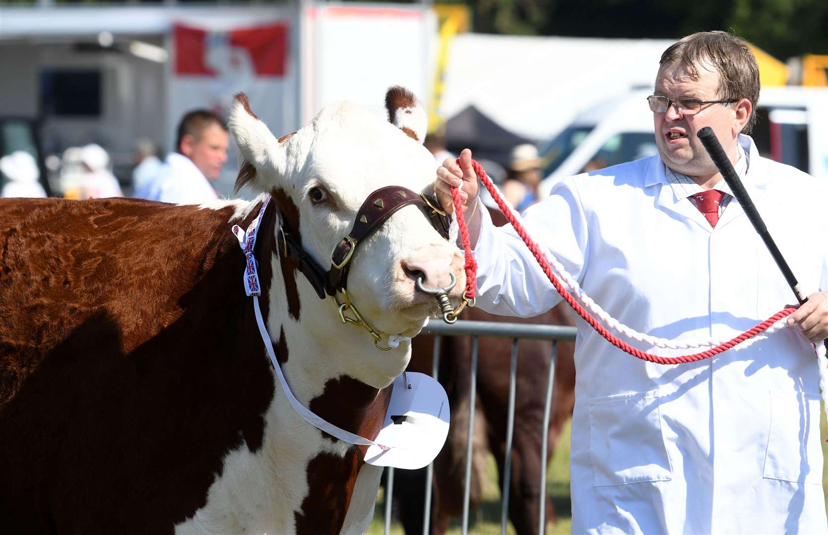The Kent Show runs over three days in July and organisers are confident it can avoid travel problems. Picture: Barry Goodwin