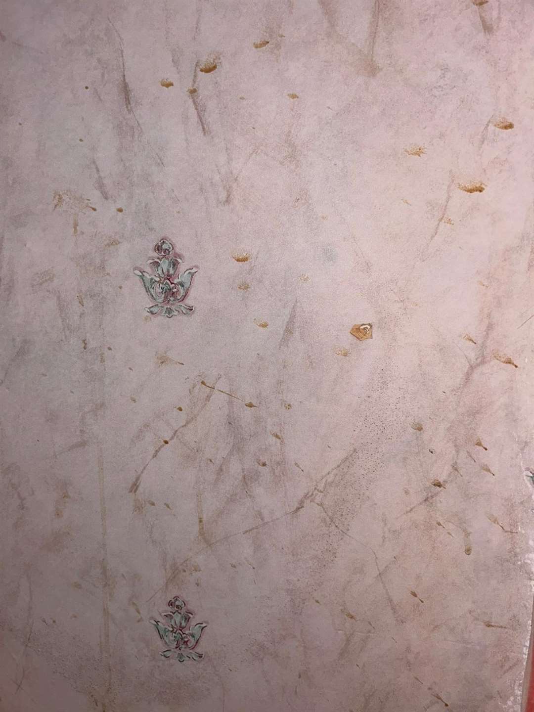 The outdated wallpaper was covered in filthy marks