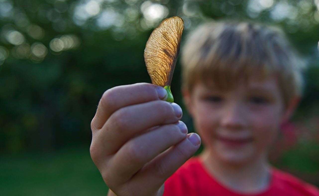 The Wildlife Trusts want to encourage us all to enjoy nature Picture: David Tipling