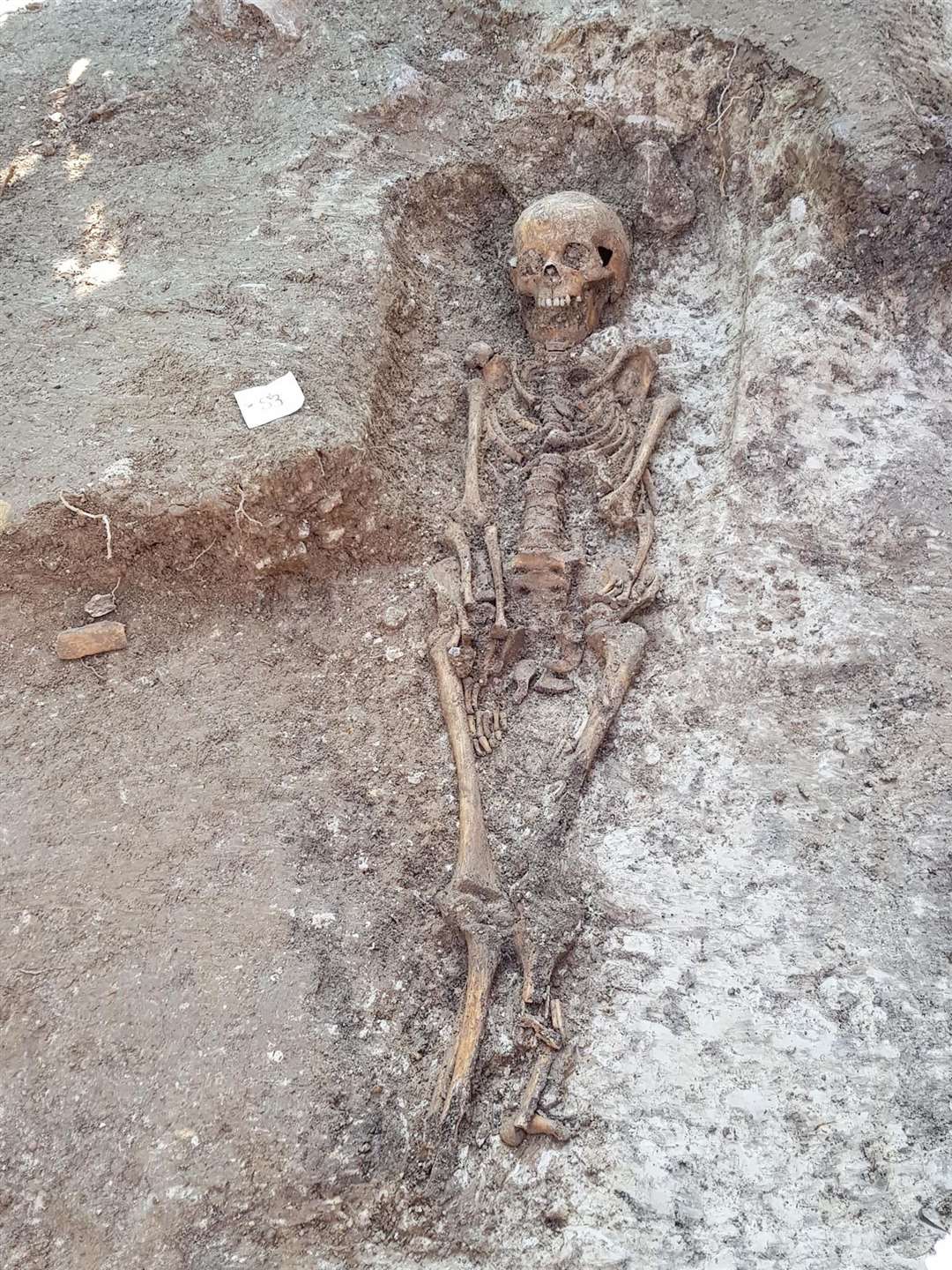 The remains of an 8-9 year-old medieval child. Photo: Pathways to the Past (14652556)
