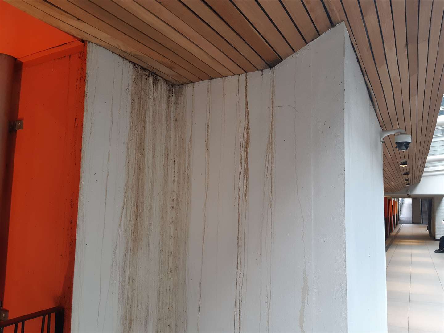 Multiple walls along the bus station are affected by the leak