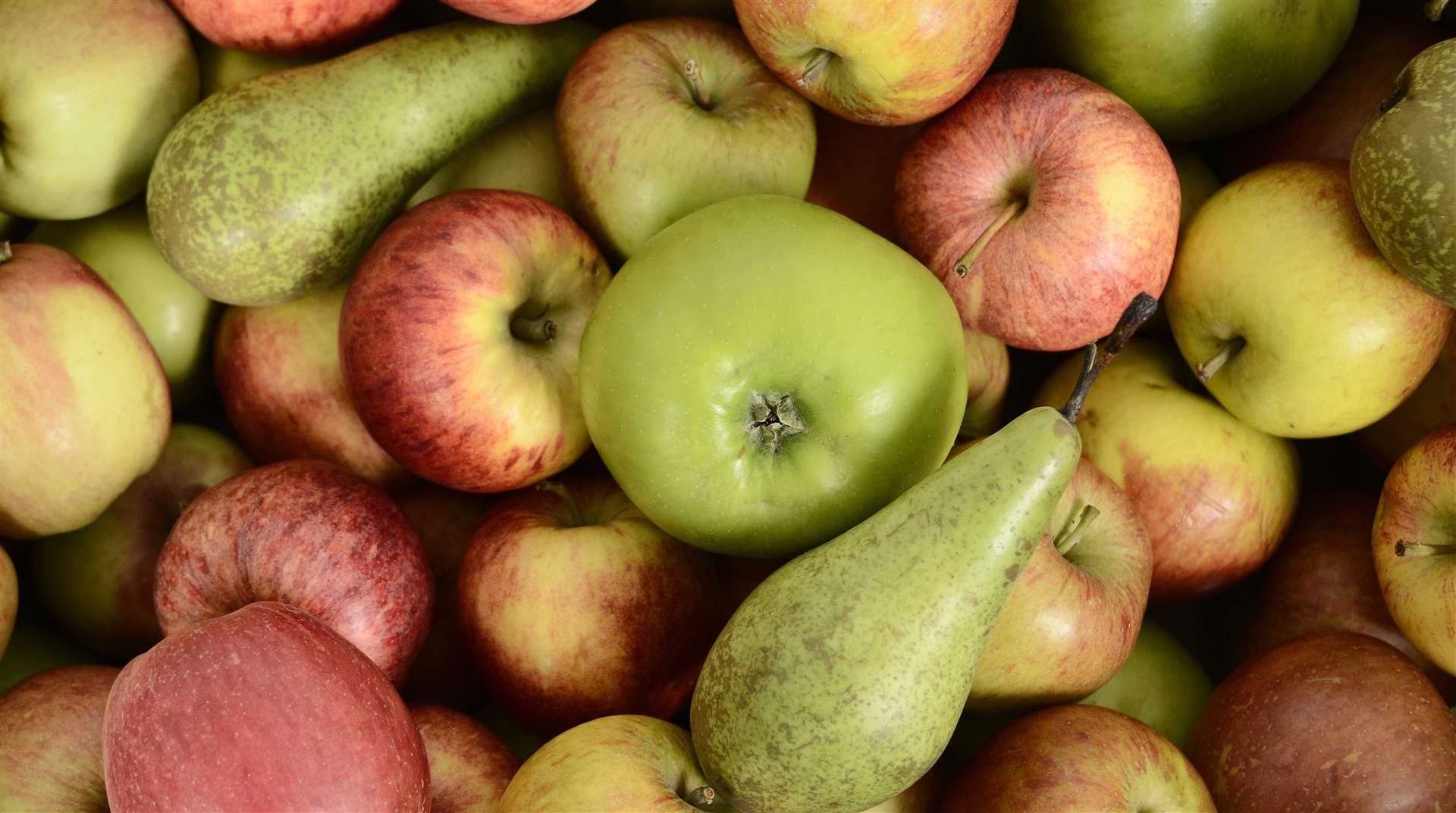 Throughout the year, apples and pears are taken from storage and transported to the packhouse at Hoo.