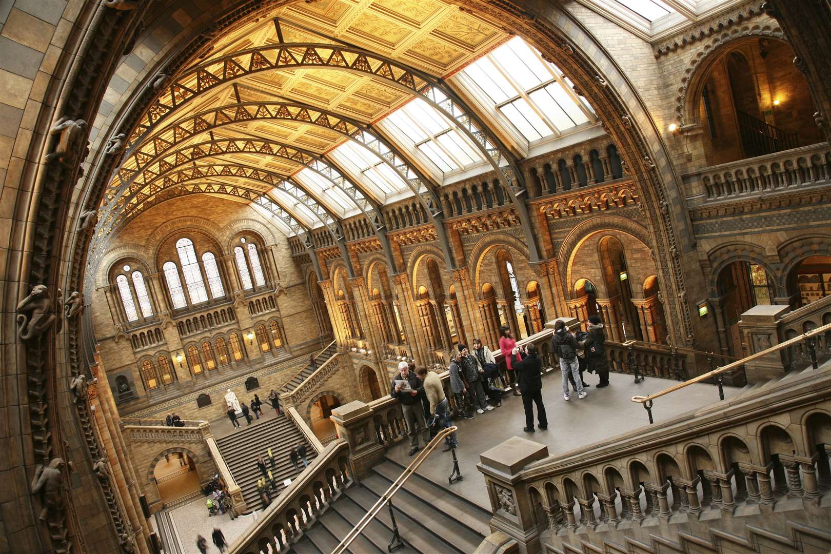 The Natural History Museum missed out on the chance to display Britain's largest-ever carp