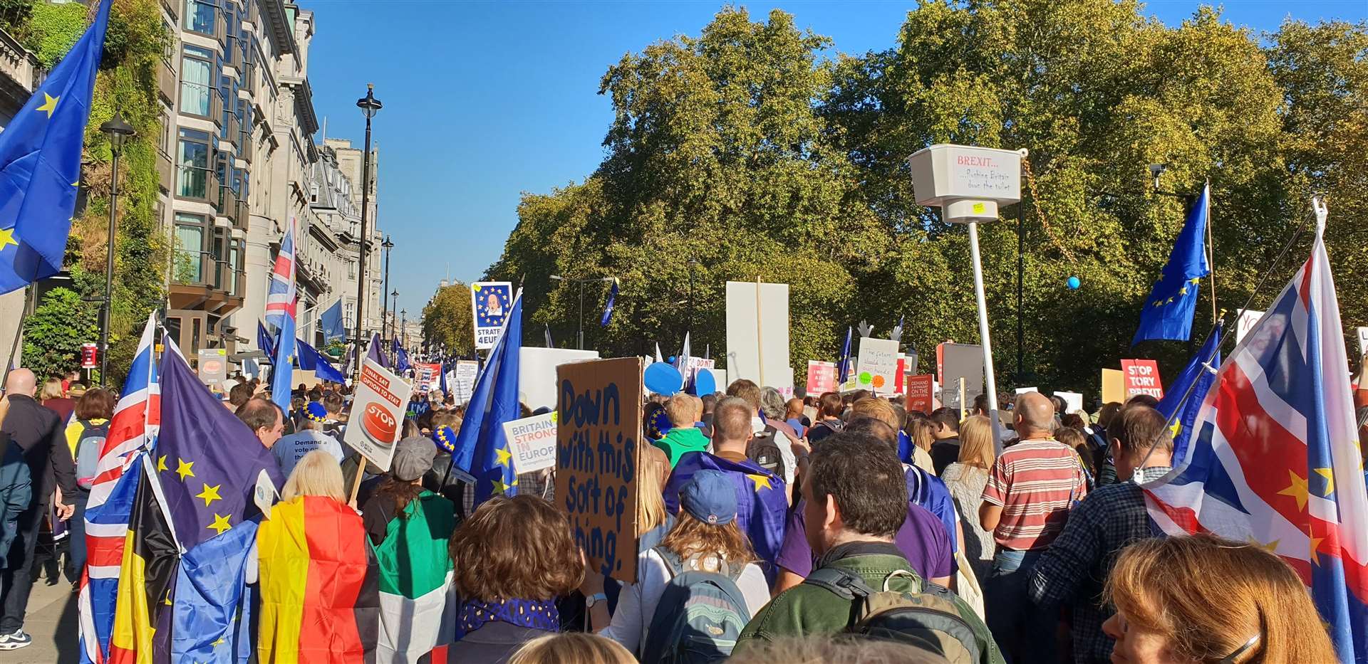 A People's Vote march last year. Picture: Wikimedia Commons