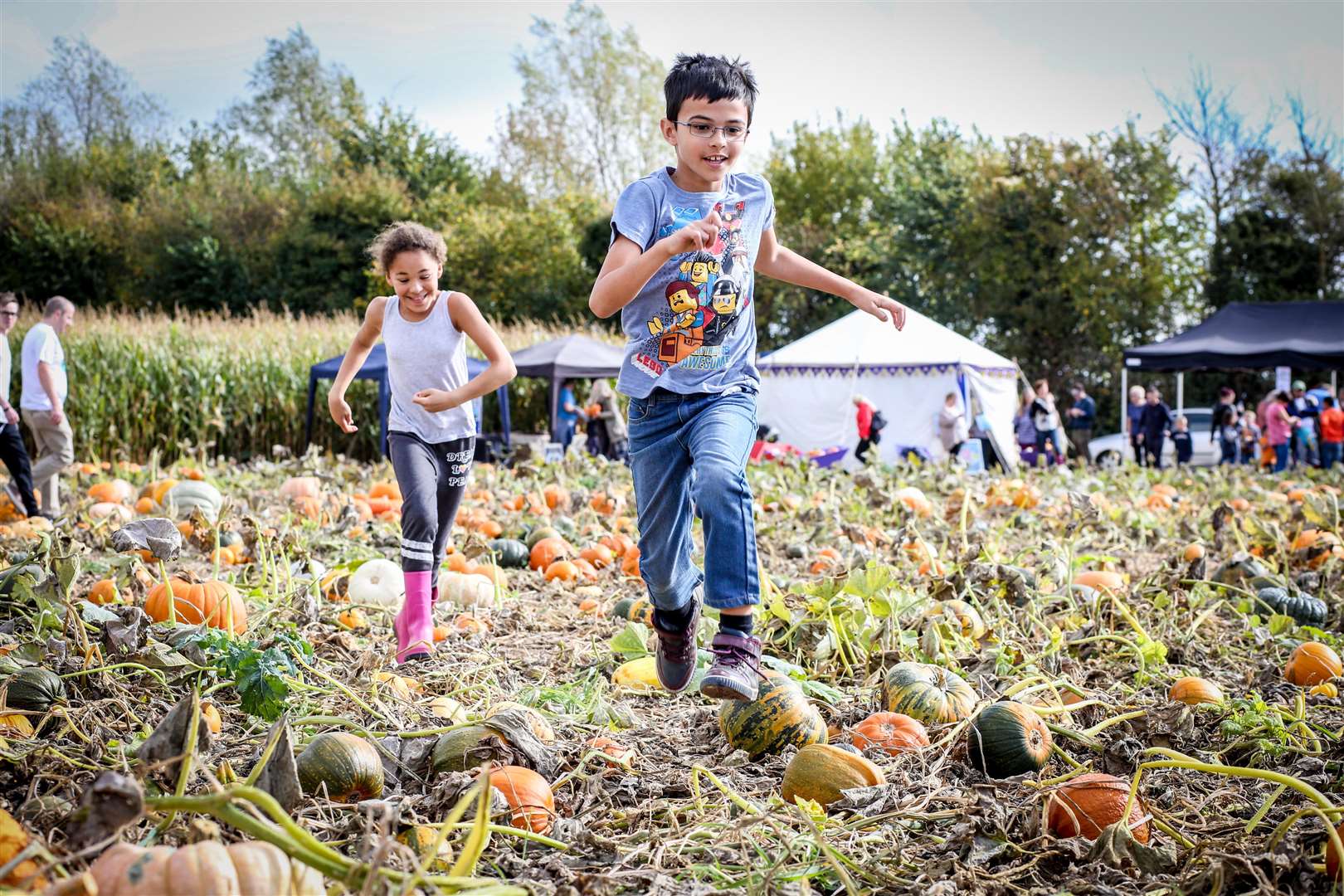 Pumpkin Moon. Pick Your Own Pumpkin Event. Franklin Ram, 8, and Imogen Jones, 8, run through the pumpkin field. Picture: Matthew Walker FM4958508 (4627378)