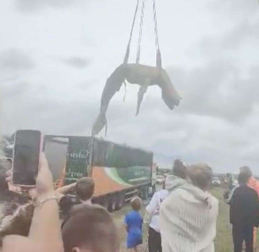 A dead whale is being removed from a Kent beach today